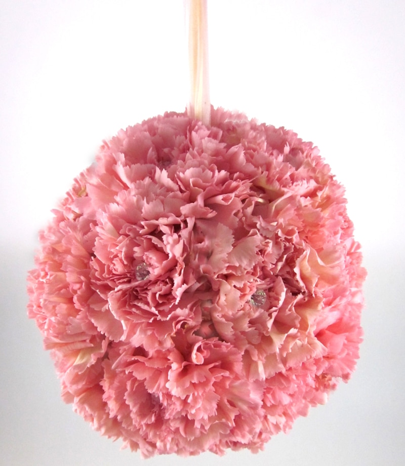 Hanging Carnation Pomander