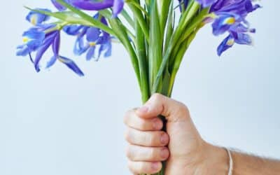 February Birth Flower: Iris