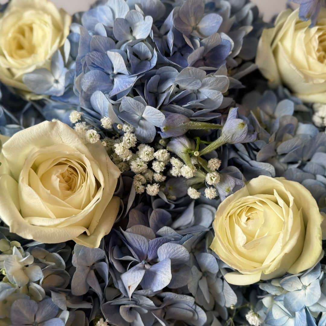 Blue hydrangeas, white roses, blue delphinium, and baby's breath arranged closely.
