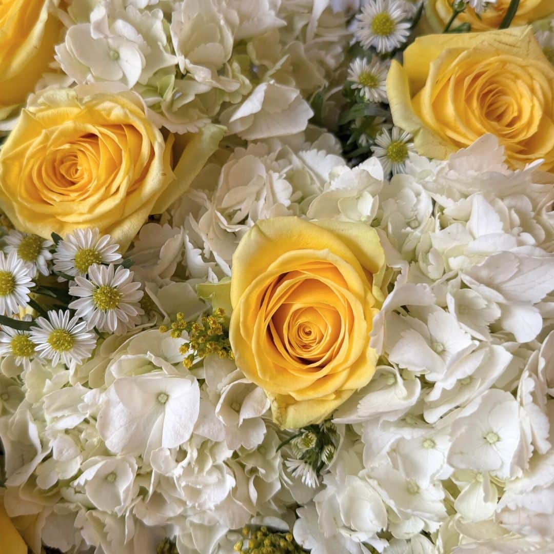 Learn about Baby Shower DIY Packs