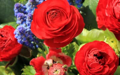 Trending: Summer Flowers