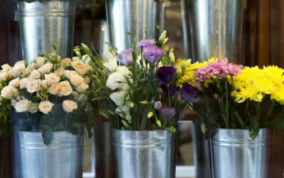 7 Tips to make your flowers last