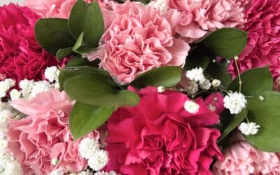 Carnation Flower Wedding Pack