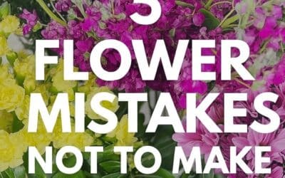 5 Flower Mistakes Not To Make