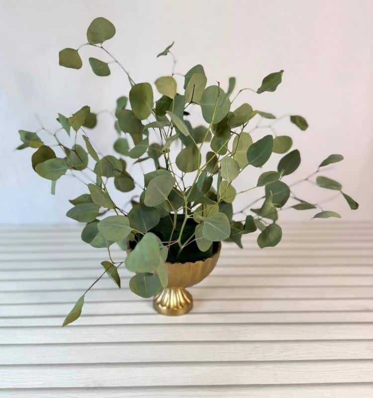 a gold vessel with floral foam and some eucalyptus leaves