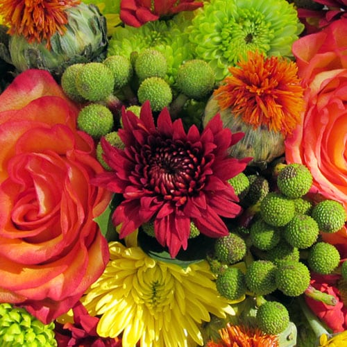 A mix of fall colored blooms