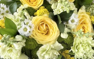 Cheery & Bright Pack