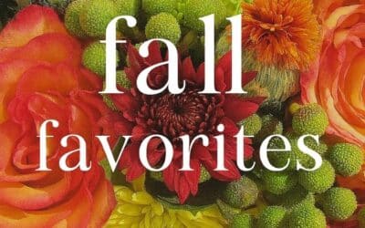 Fall Favorites