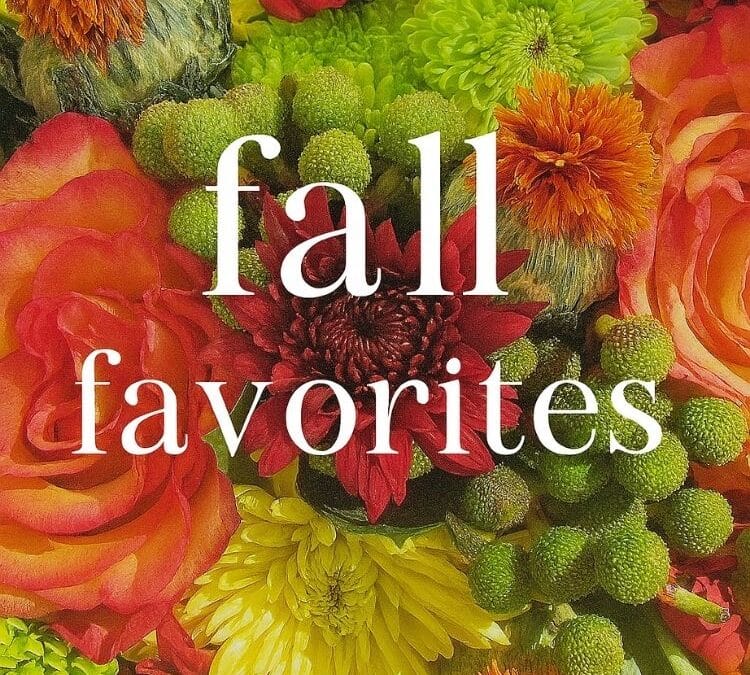 Fall Favorites