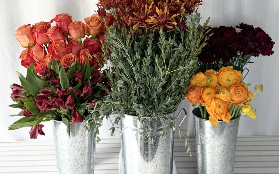 Harvest Hues Flower Pack