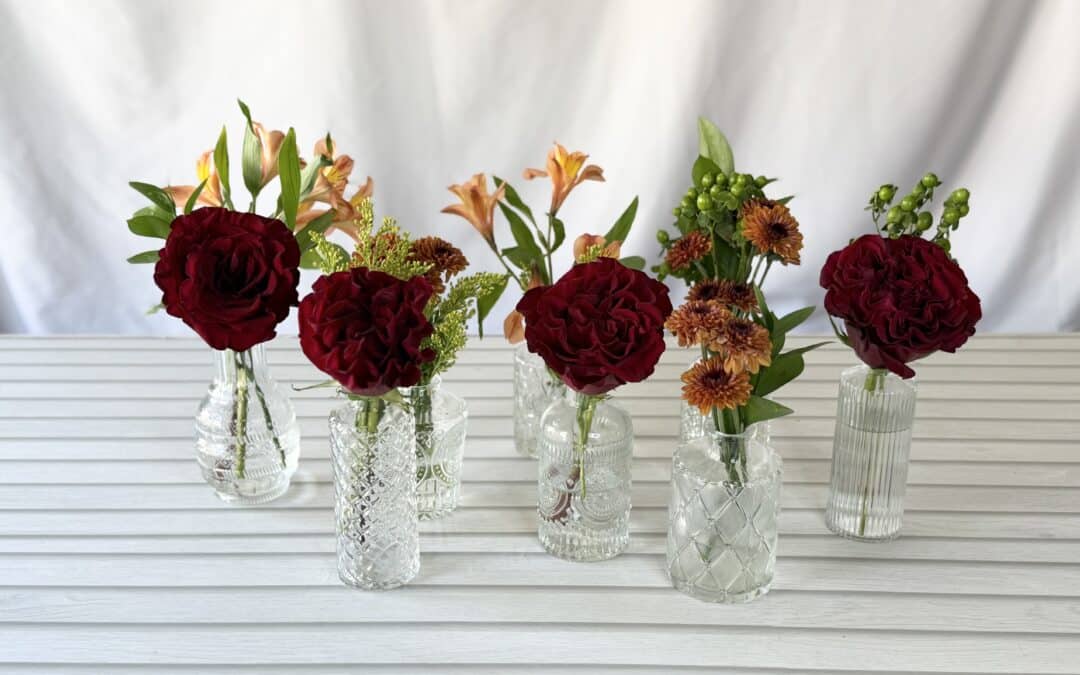 Budget-Friendly Fall Flowers