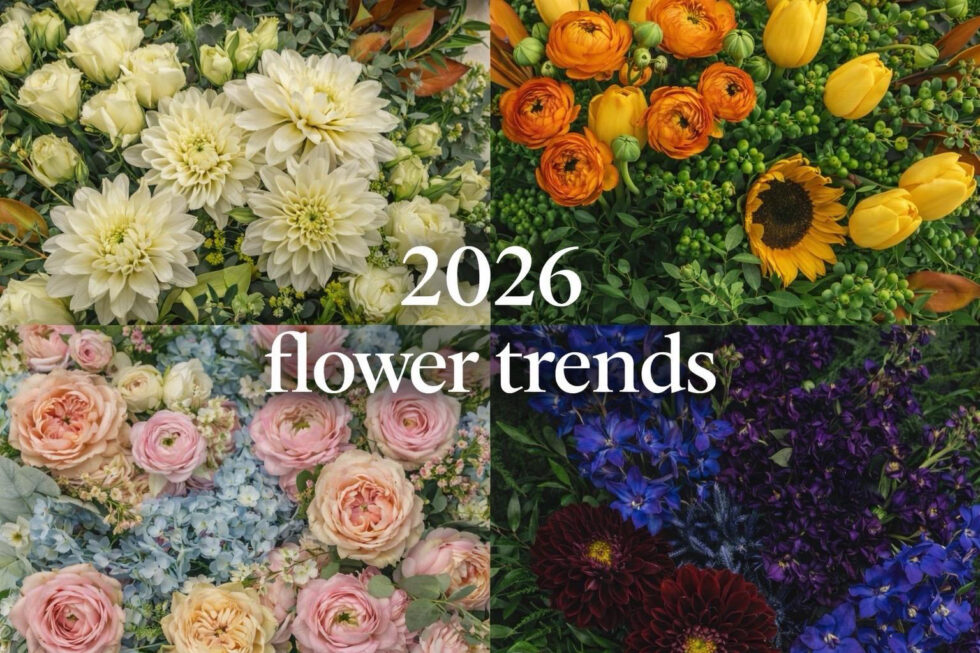 2026 Flower Trend Forecast