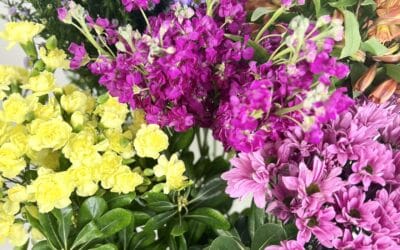 How to Keep Flowers Fresh