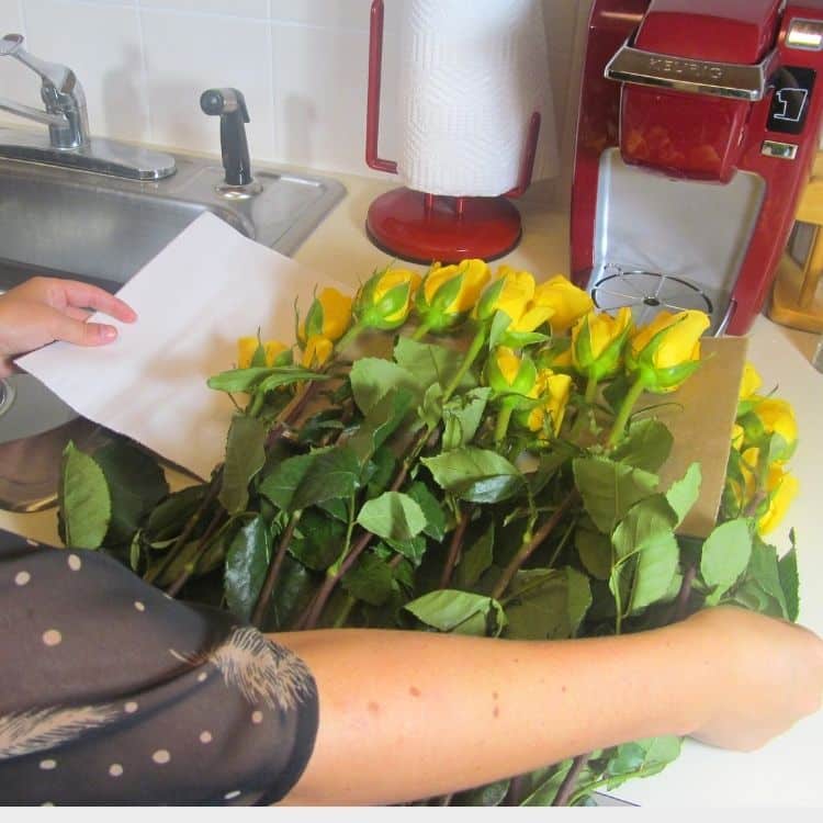 A package of fresh yellow roses being opened and ready to be put into water to hydrate. 