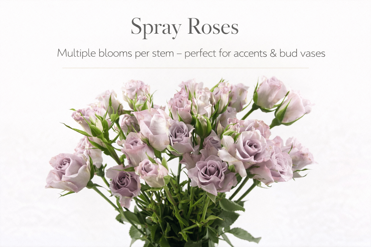 spray roses are best to use in bud vases and as accent flowers.