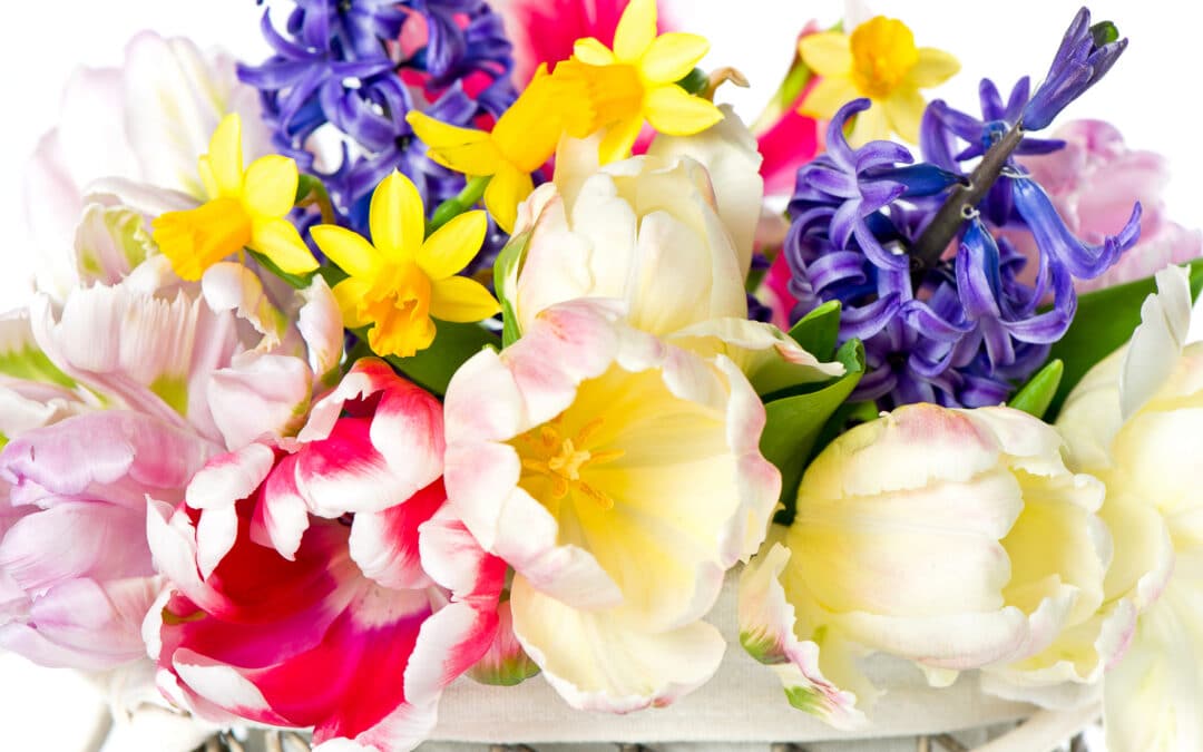 A mix of spring flowers