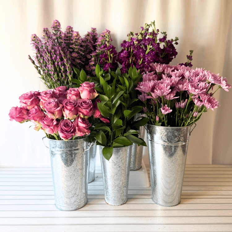 the punchy purple pack in buckets of water