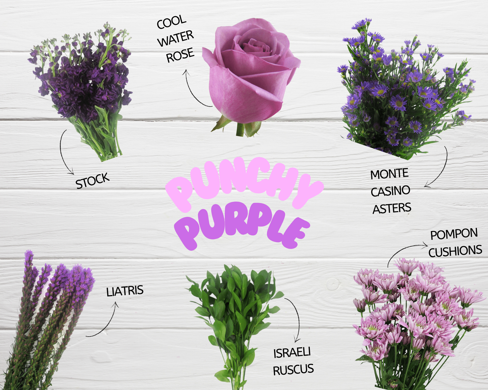 a list of the items in the punchy purple pack