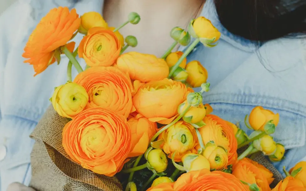 Person in a denim jacket holding a burlap-wrapped bouquet of orange and yellow ranunculus