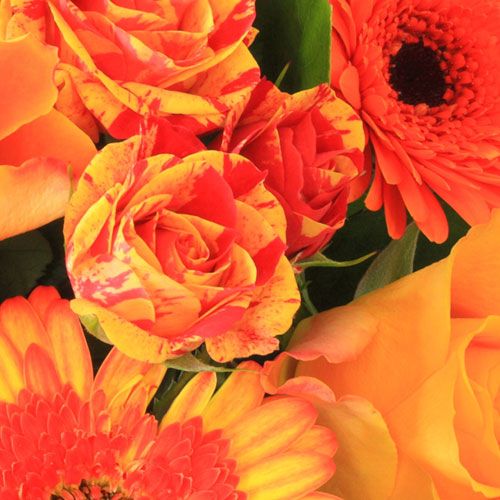 Types of Flowers for Weddings