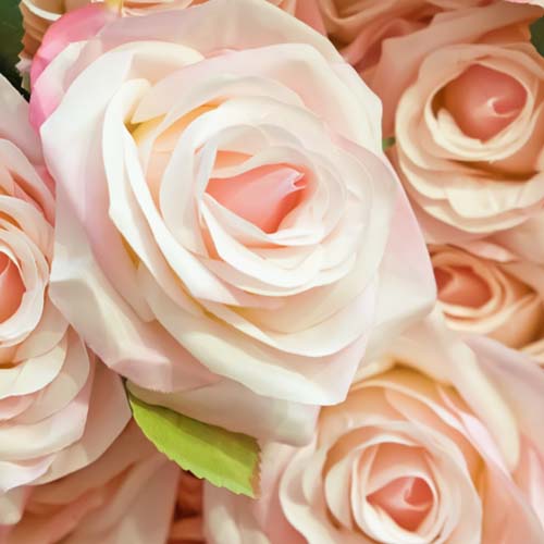 Types of Flowers for Weddings