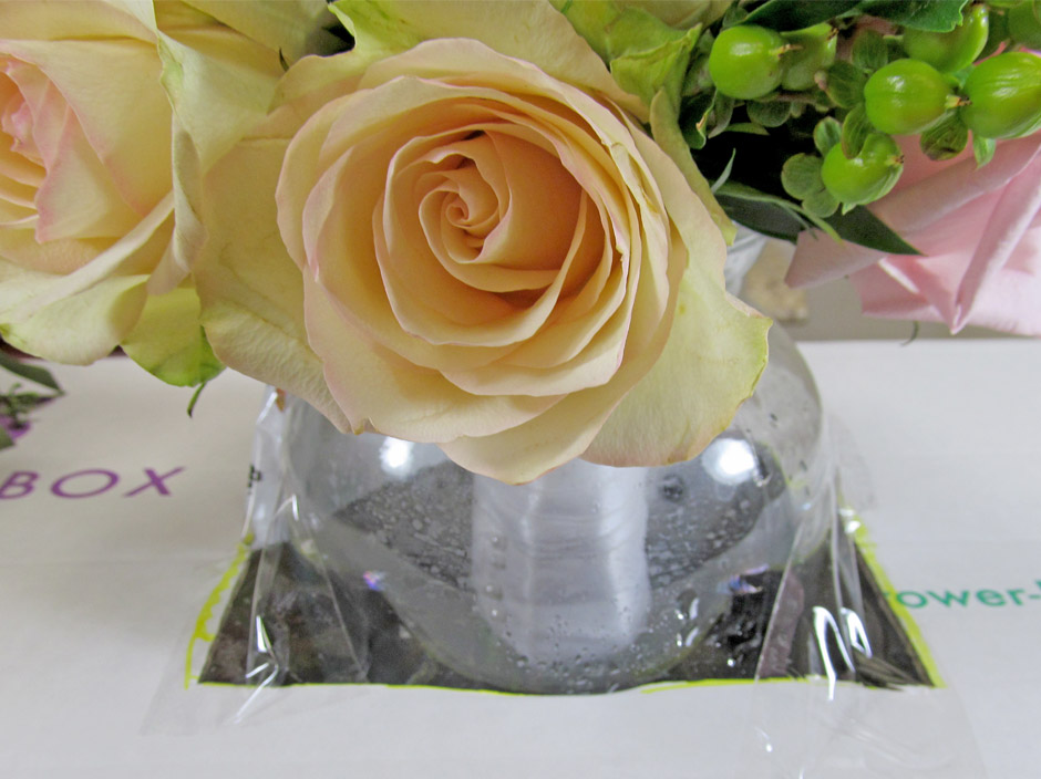 Flower Preparation and Care Blooms By The Box