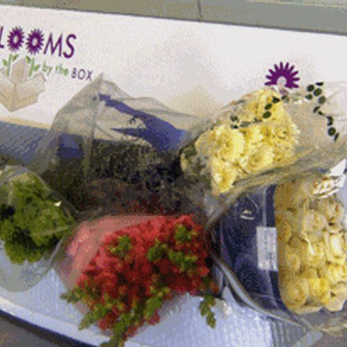 flower back packs