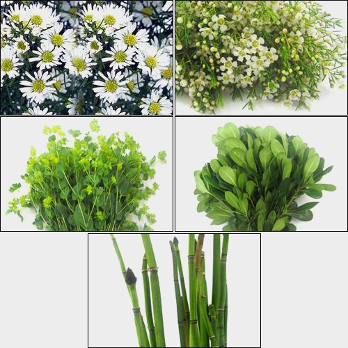 Trendy Greens & Fillers Bulk Pack Wholesale Blooms By The Box
