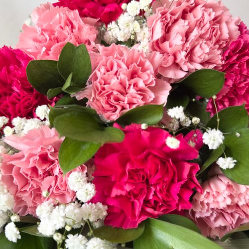 02685a__carnation_flower_weddi
