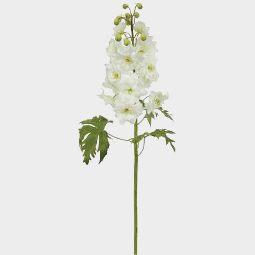 Wholesale White Silk Delphinium Blooms by the Box
