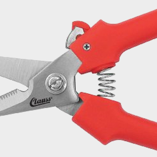 Wholesale Floral Bunch Cutter Blooms by the Box