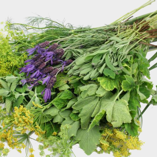 Assorted Herbs Bulk Wholesale Blooms By The Box