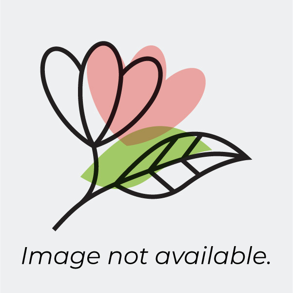 Floreete Ribbon Wholesale Floral Ribbon – Florist Ribbon